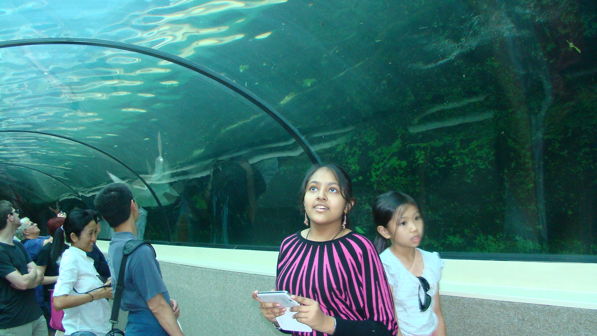Australia 2013