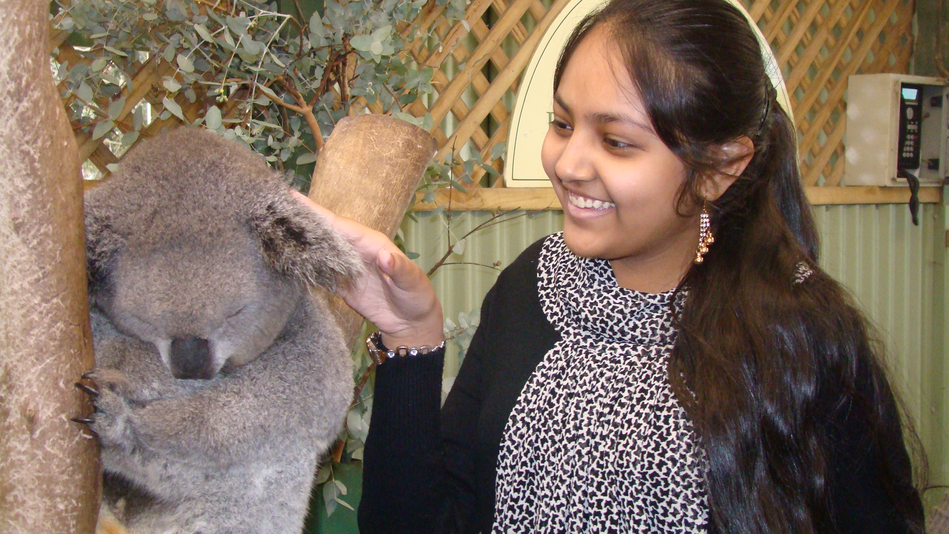 Australia 2013